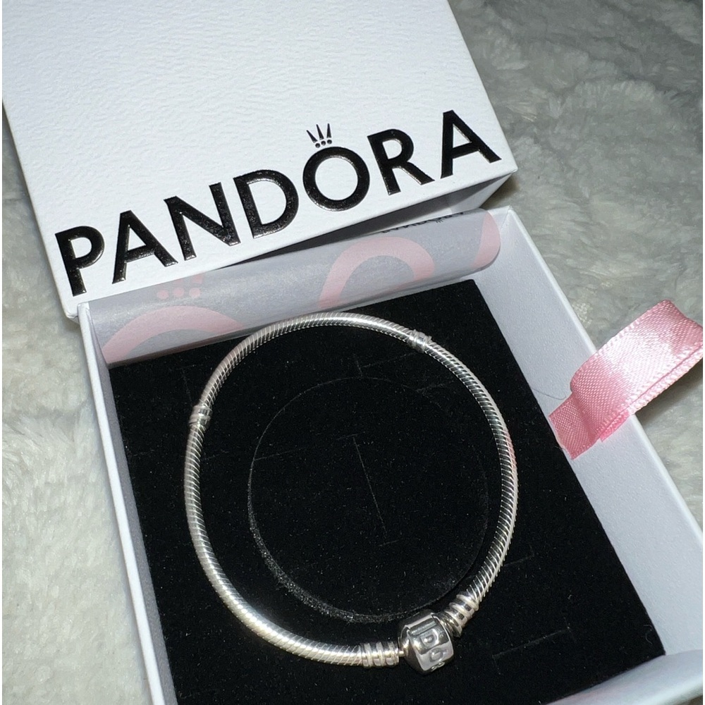 Pandora Snake Chain Bracelet